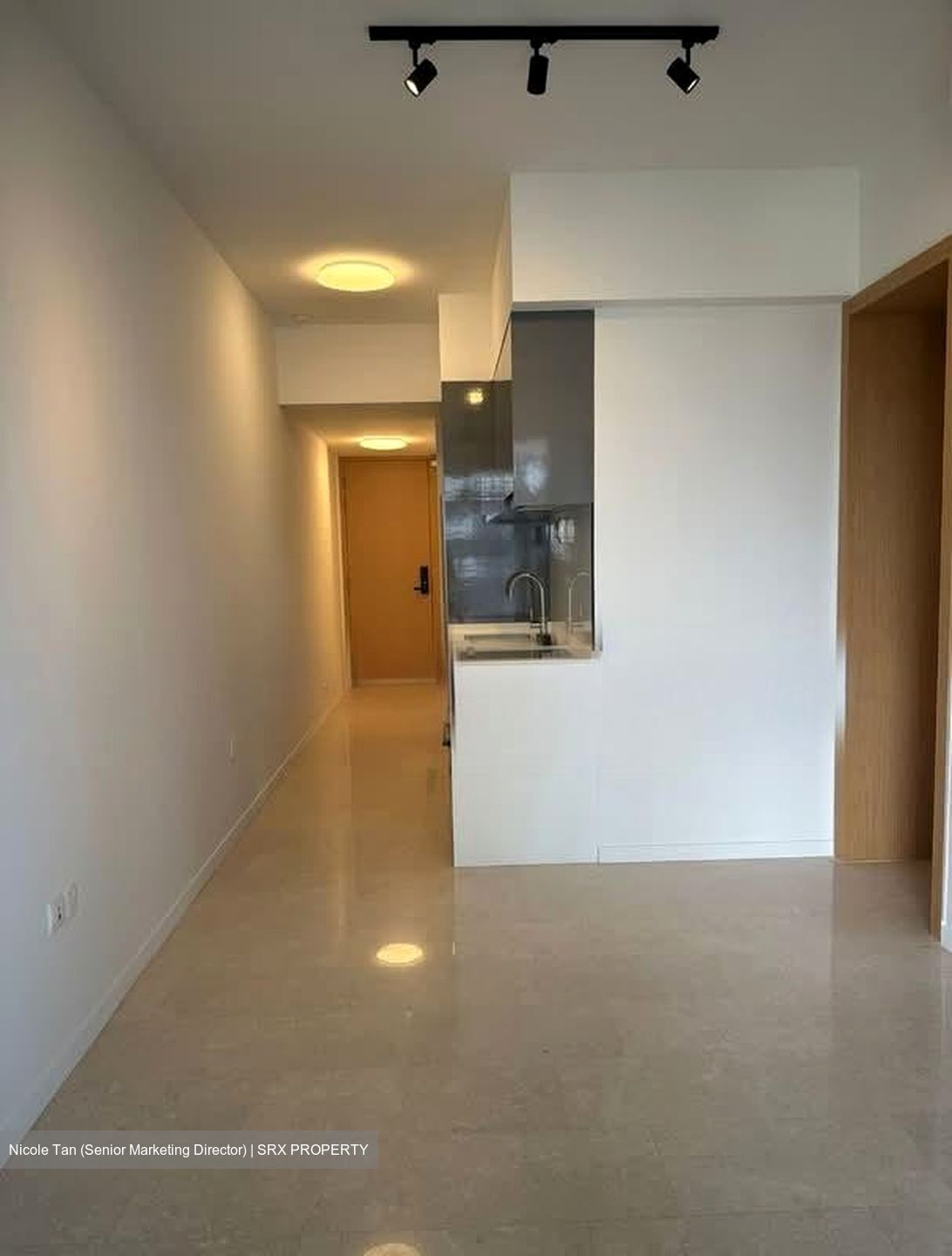 The Tre Ver (D13), Condominium #587768151